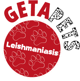 Fotografía Leishmaniasis