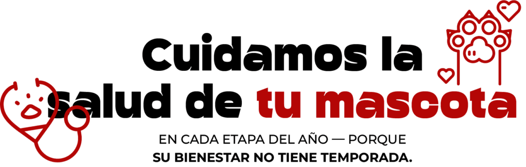 Cuidamos la salud de tu mascota en cada etapa del año, porque su bienestar no tiene temporada